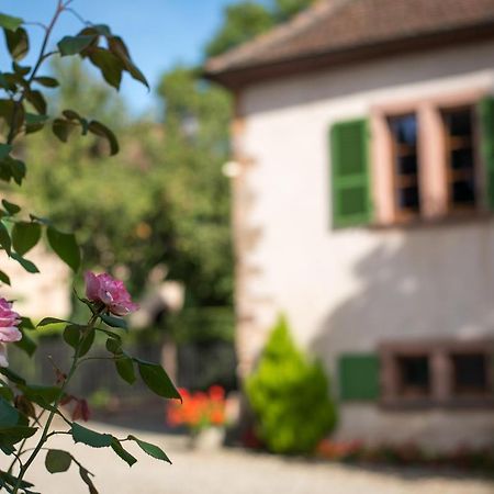 Gite **** Le Meyerhof Rorschwihr Kültér fotó